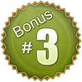 Bonus #3